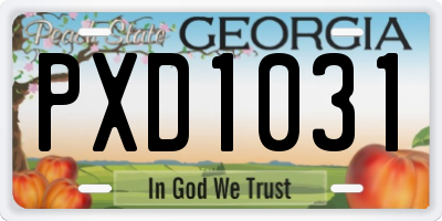 GA license plate PXD1031