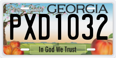 GA license plate PXD1032