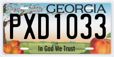 GA license plate PXD1033