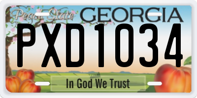 GA license plate PXD1034