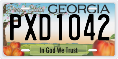 GA license plate PXD1042