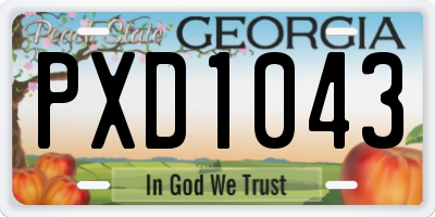 GA license plate PXD1043