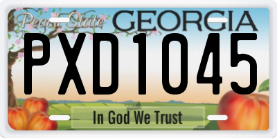 GA license plate PXD1045