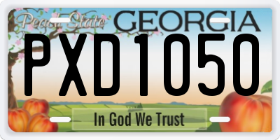 GA license plate PXD1050