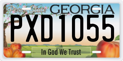 GA license plate PXD1055