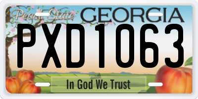 GA license plate PXD1063
