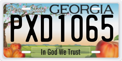 GA license plate PXD1065