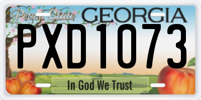 GA license plate PXD1073