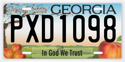 GA license plate PXD1098