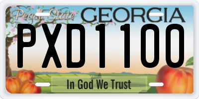 GA license plate PXD1100