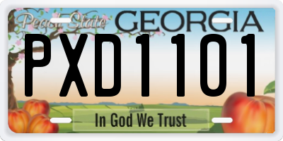 GA license plate PXD1101