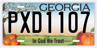 GA license plate PXD1107
