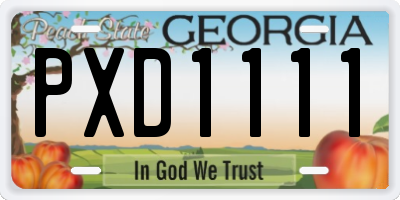 GA license plate PXD1111