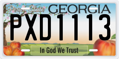 GA license plate PXD1113