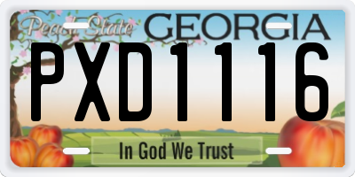 GA license plate PXD1116