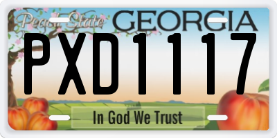 GA license plate PXD1117