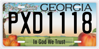 GA license plate PXD1118