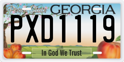 GA license plate PXD1119