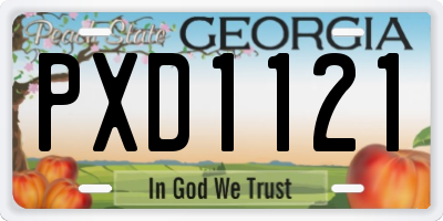 GA license plate PXD1121