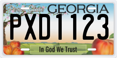 GA license plate PXD1123