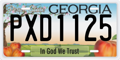GA license plate PXD1125