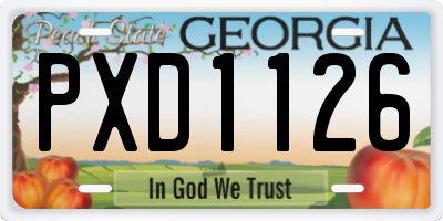 GA license plate PXD1126
