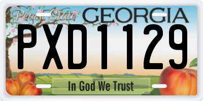 GA license plate PXD1129