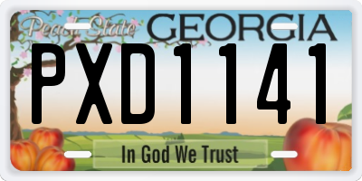 GA license plate PXD1141