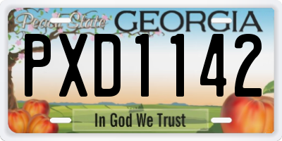 GA license plate PXD1142