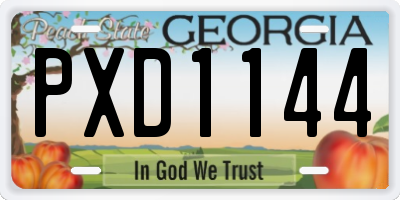 GA license plate PXD1144