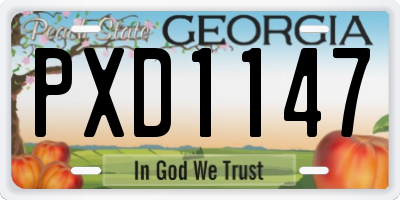 GA license plate PXD1147