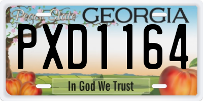 GA license plate PXD1164