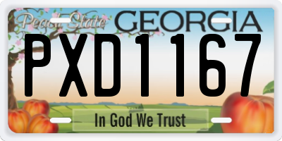 GA license plate PXD1167
