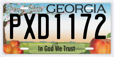 GA license plate PXD1172