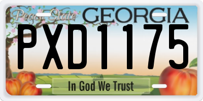 GA license plate PXD1175
