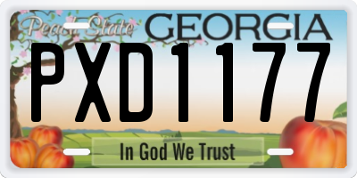 GA license plate PXD1177