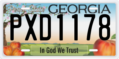 GA license plate PXD1178