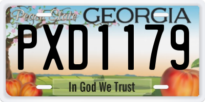 GA license plate PXD1179