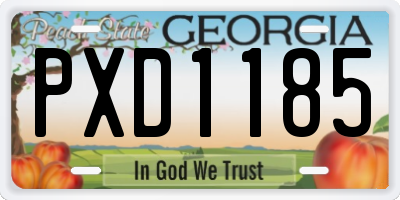 GA license plate PXD1185