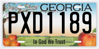 GA license plate PXD1189