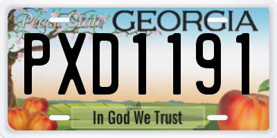 GA license plate PXD1191