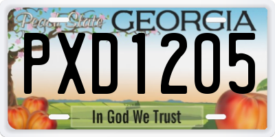 GA license plate PXD1205