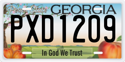 GA license plate PXD1209