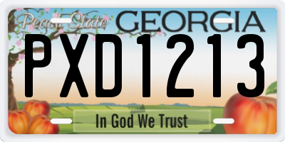 GA license plate PXD1213
