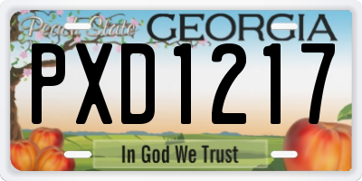 GA license plate PXD1217