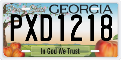 GA license plate PXD1218