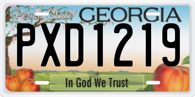 GA license plate PXD1219