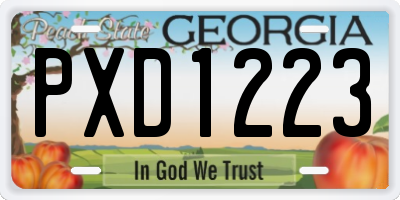 GA license plate PXD1223