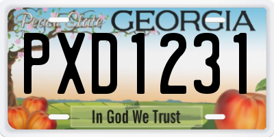 GA license plate PXD1231