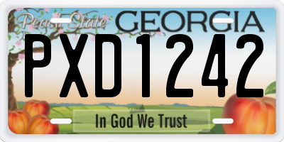 GA license plate PXD1242